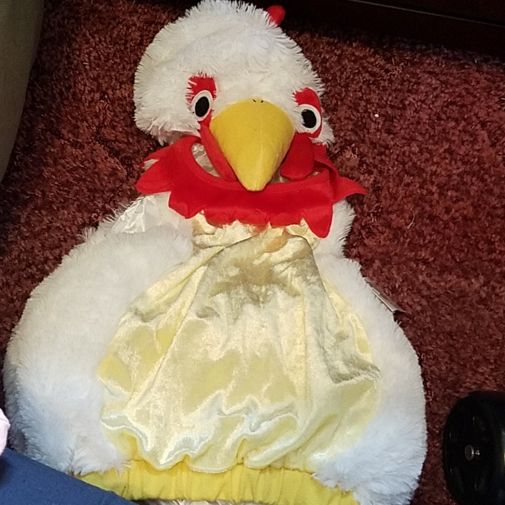 Chicken costume